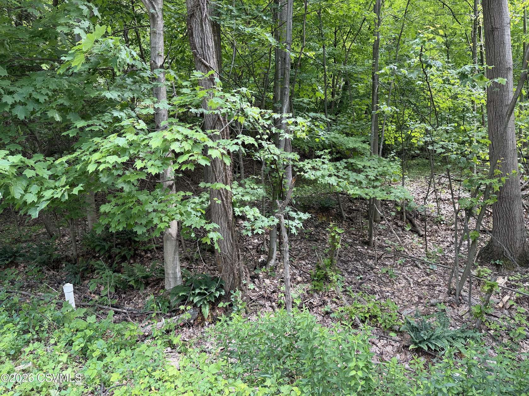 0.34 Acres of Residential Land for Sale in Bloomsburg, Pennsylvania