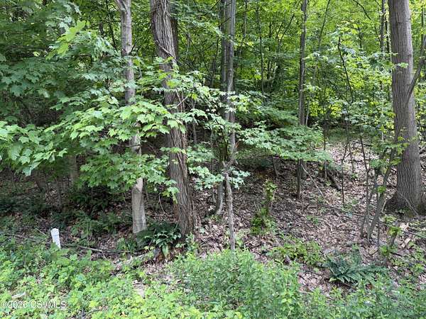 0.34 Acres of Residential Land for Sale in Bloomsburg, Pennsylvania