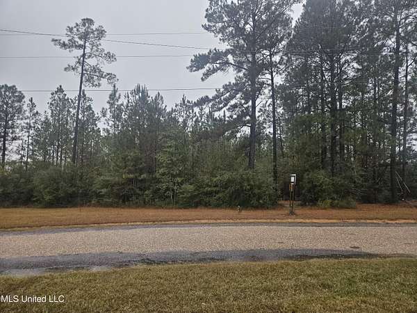 3.3 Acres of Residential Land for Sale in Perkinston, Mississippi