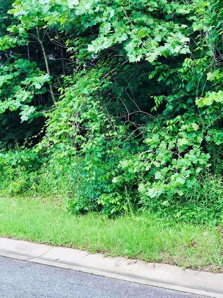 0.33 Acres of Residential Land for Sale in Macon, Georgia