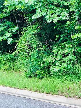 0.33 Acres of Residential Land for Sale in Macon, Georgia
