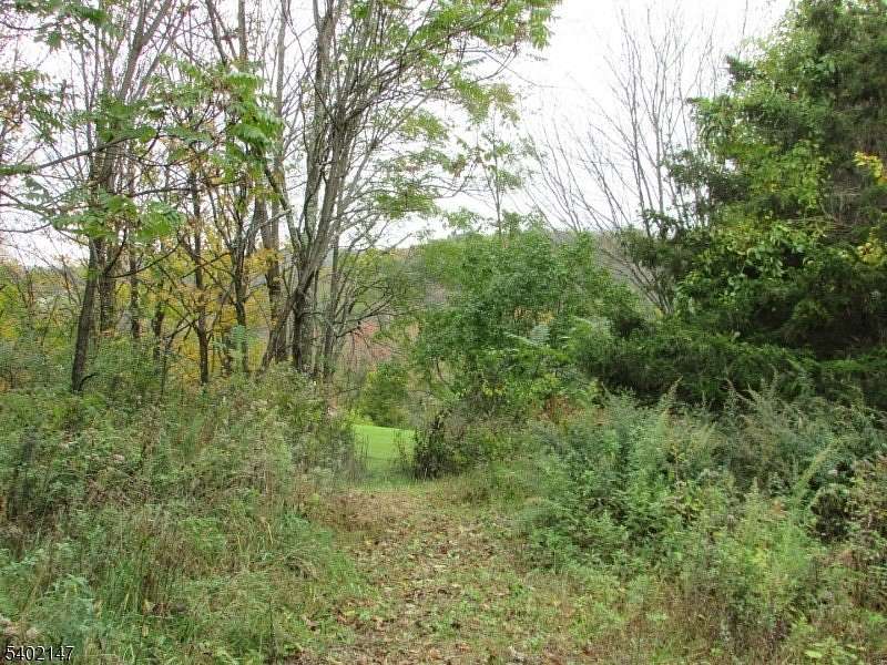 11.3 Acres of Recreational & Residential Land for Sale in Wantage Township, New Jersey