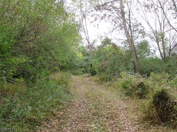 11.3 Acres of Recreational & Residential Land for Sale in Wantage Township, New Jersey