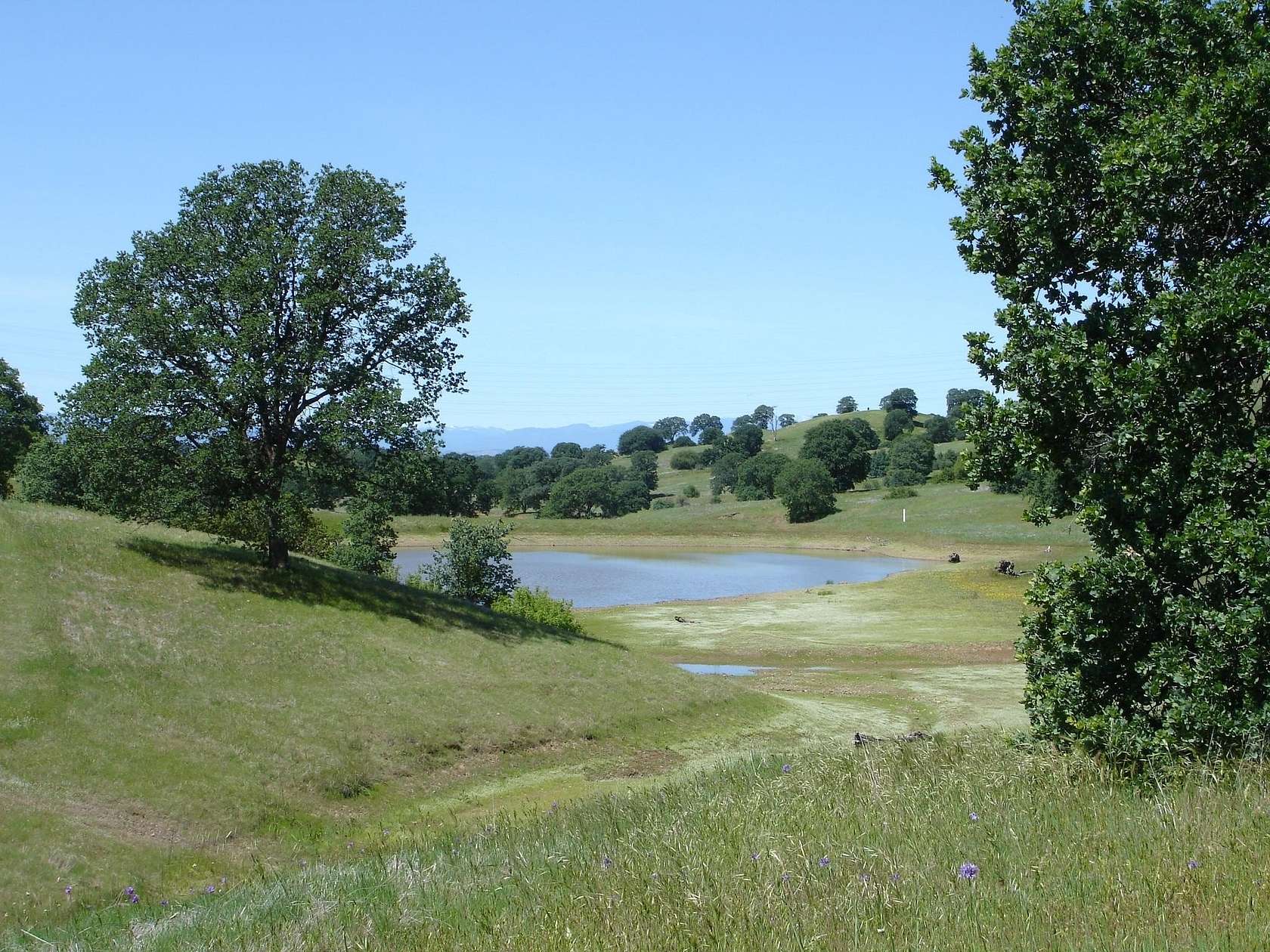 12.6 Acres of Land for Sale in Cottonwood, California