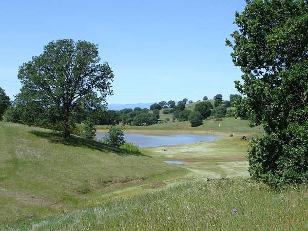 12.6 Acres of Land for Sale in Cottonwood, California