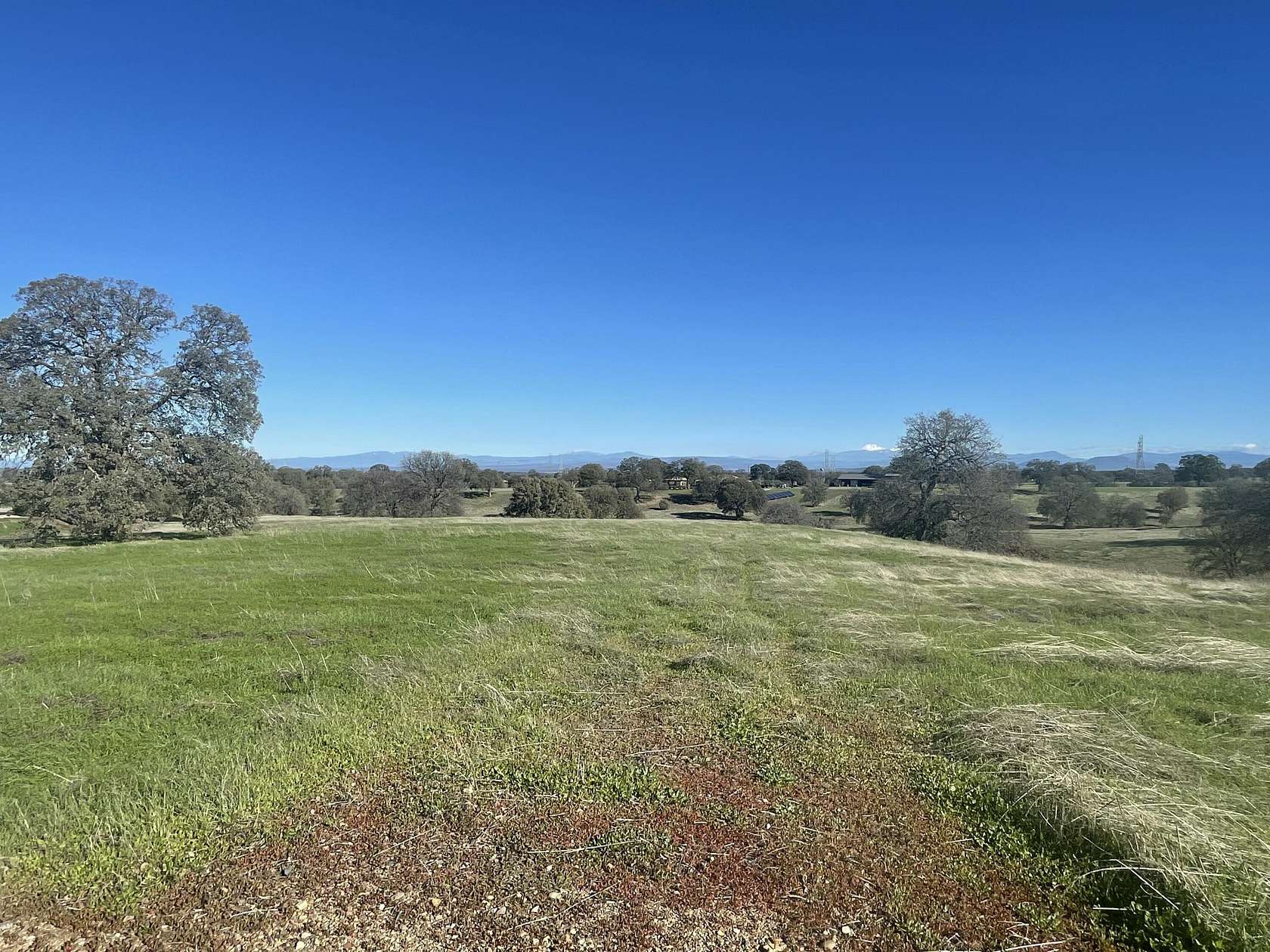 11.9 Acres of Land for Sale in Cottonwood, California