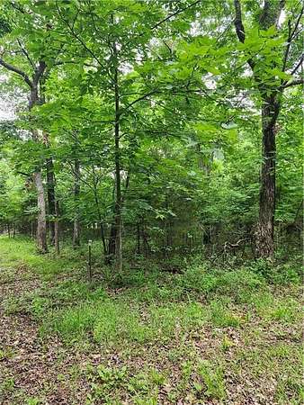 1 Acre of Land for Sale in Linn Valley, Kansas