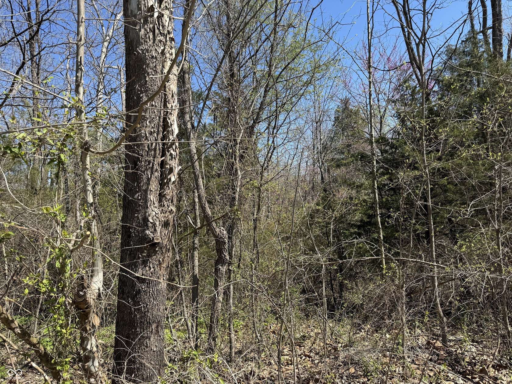 4.44 Acres of Residential Land for Sale in Spencer, Indiana