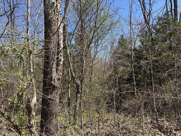 4.44 Acres of Residential Land for Sale in Spencer, Indiana