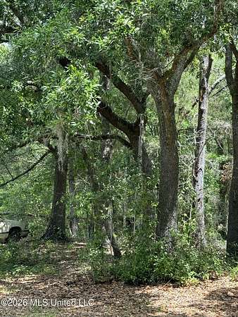 0.29 Acres of Residential Land for Sale in Waveland, Mississippi