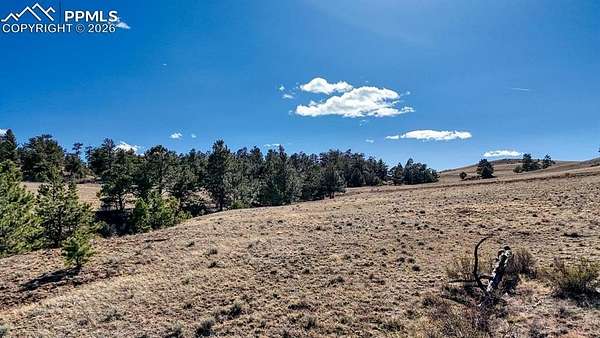 12.6 Acres of Land for Sale in Hartsel, Colorado