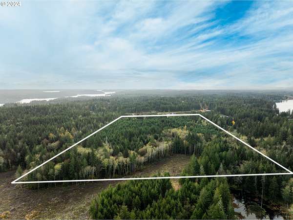 40 Acres of Land for Sale in Shelton, Washington