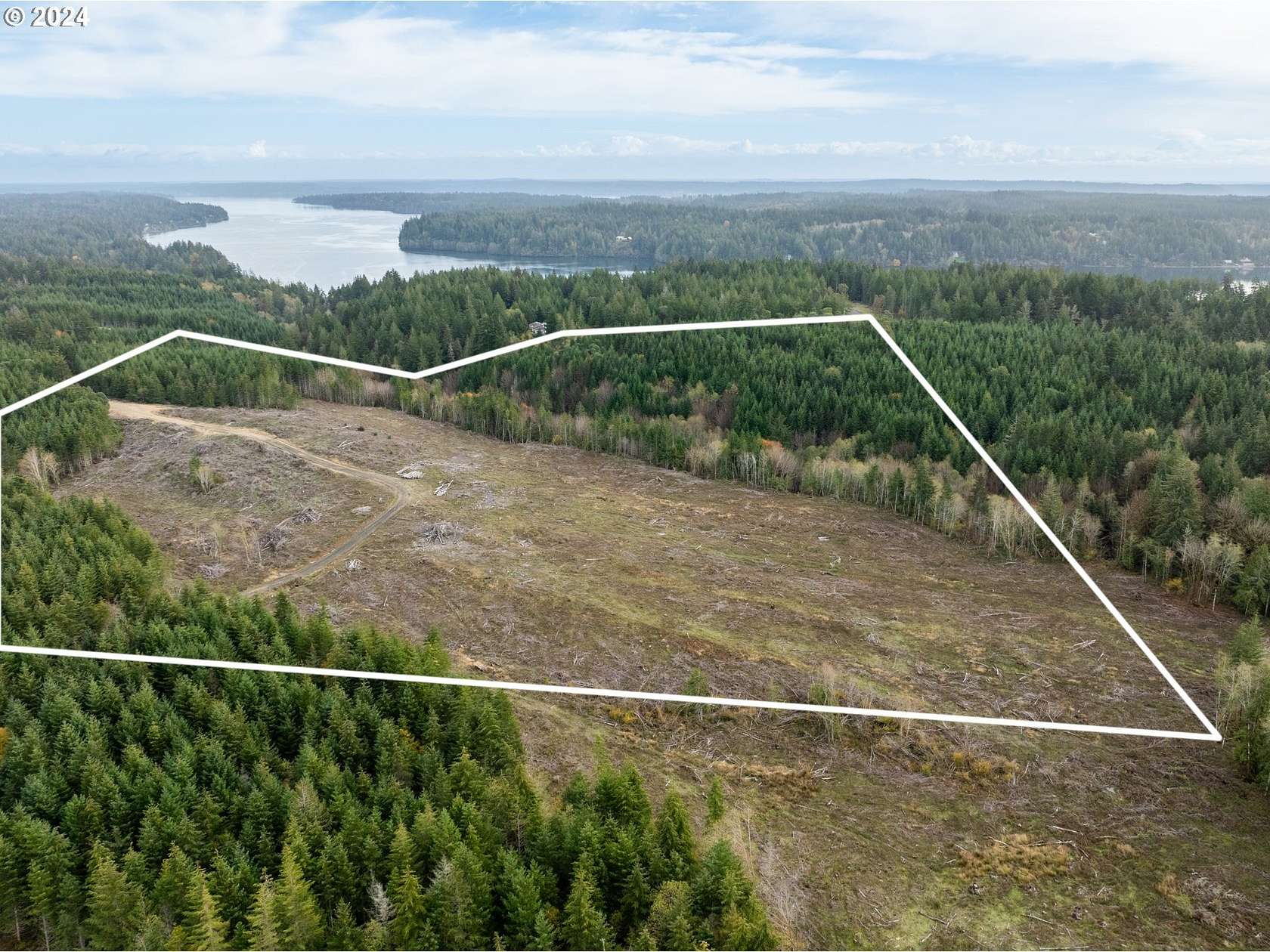 40 Acres of Land for Sale in Shelton, Washington