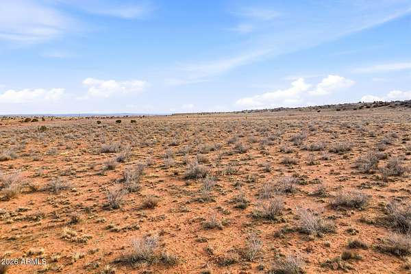 20.5 Acres of Recreational & Residential Land for Sale in Snowflake, Arizona