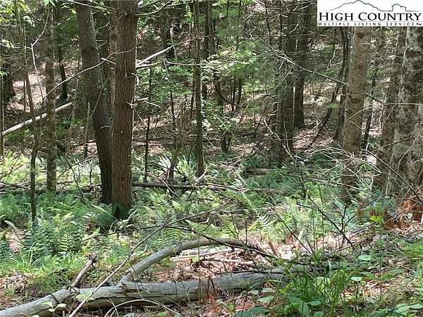 2.32 Acres of Residential Land for Sale in Jefferson, North Carolina