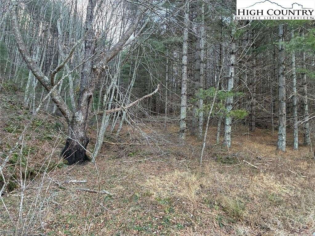 68.8 Acres of Recreational & Residential Land for Sale in Grassy Creek, North Carolina