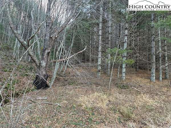 68.8 Acres of Recreational & Residential Land for Sale in Grassy Creek, North Carolina