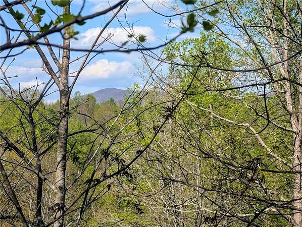 1 Acre of Residential Land for Sale in Todd, North Carolina