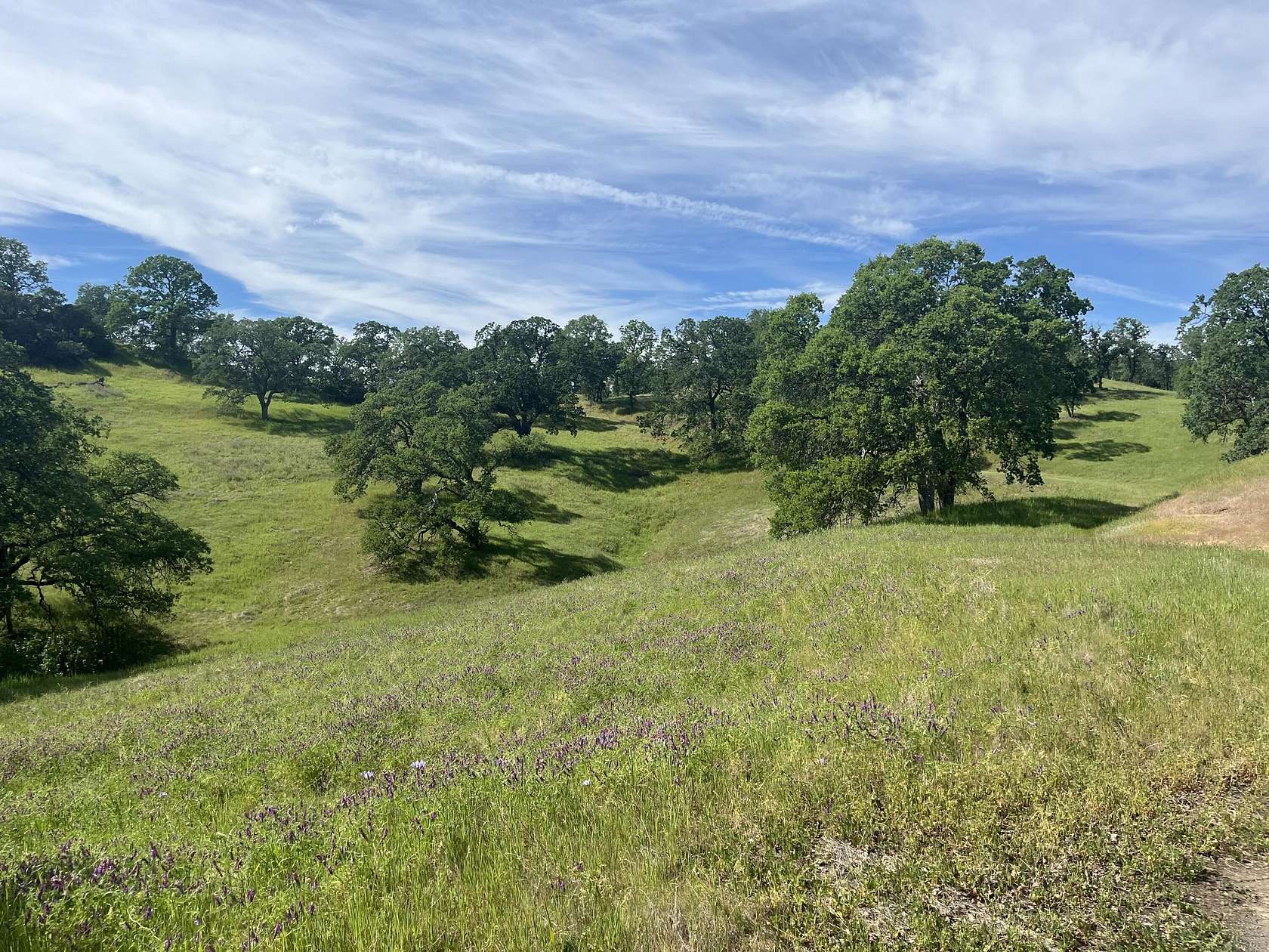 9.16 Acres of Residential Land for Sale in Cottonwood, California