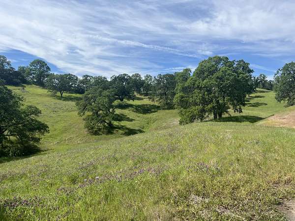 9.16 Acres of Residential Land for Sale in Cottonwood, California