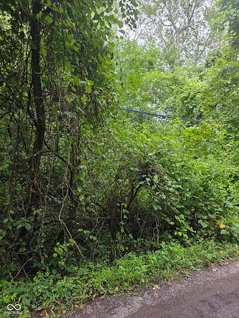 0.12 Acres of Residential Land for Sale in Indianapolis, Indiana