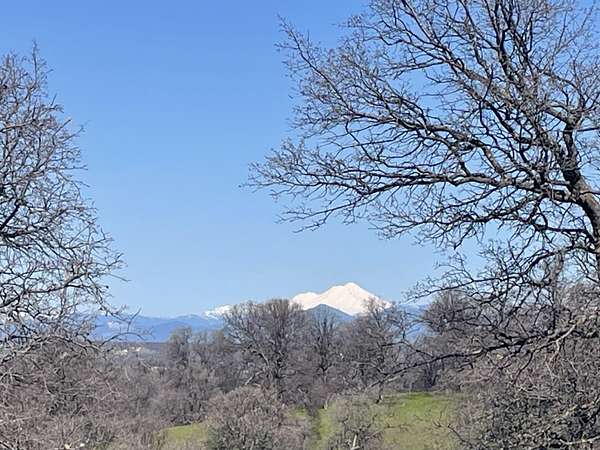 24.9 Acres of Land for Sale in Cottonwood, California