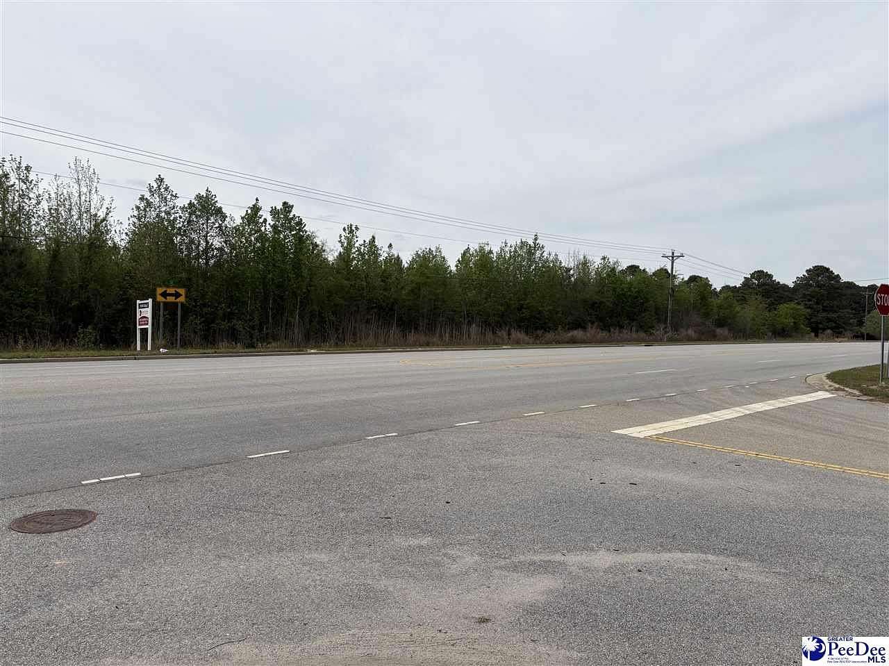 53.7 Acres of Land for Sale in Florence, South Carolina