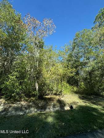 0.72 Acres of Residential Land for Sale in Bay St. Louis, Mississippi