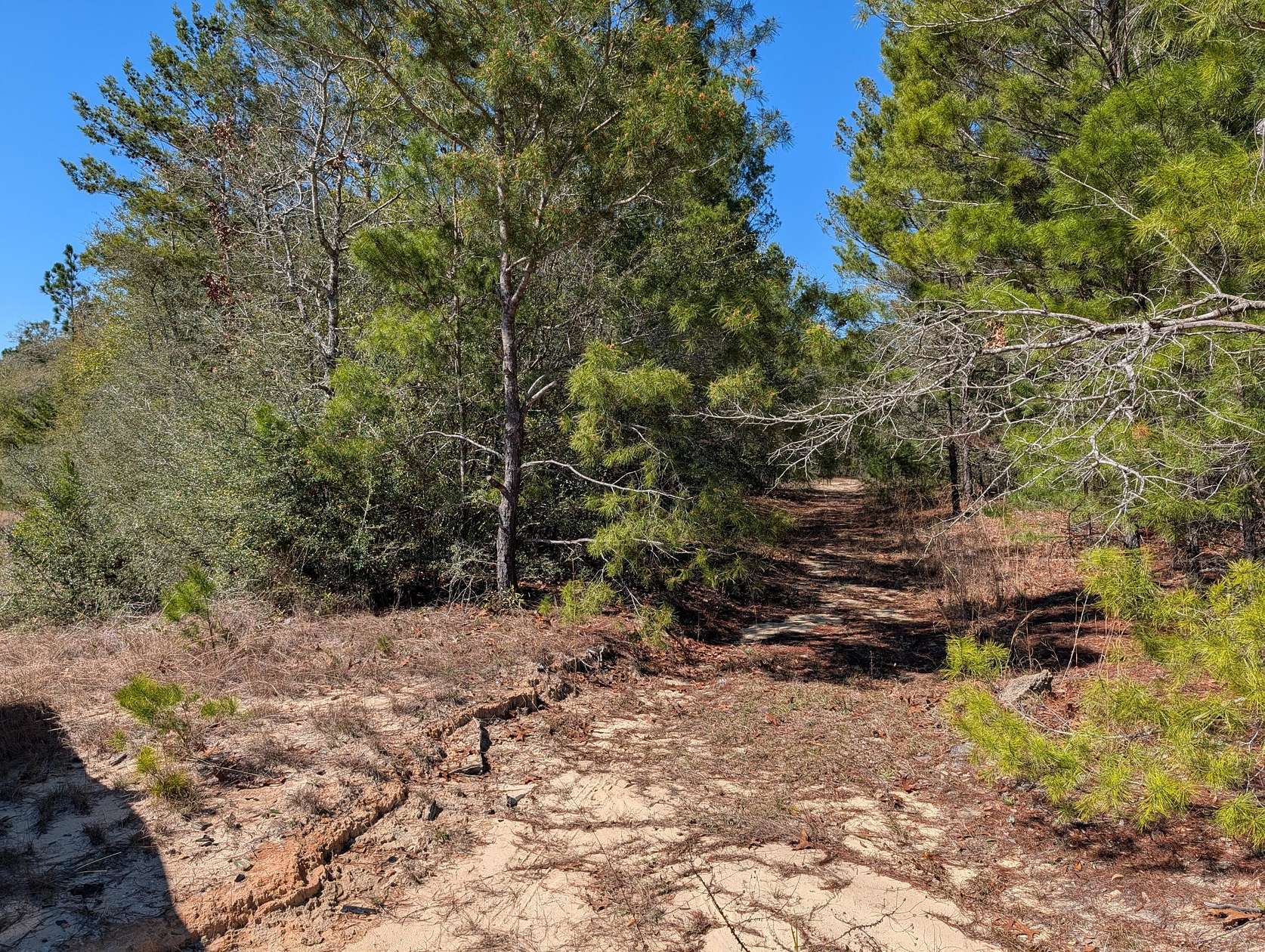 1.26 Acres of Residential Land for Sale in DeFuniak Springs, Florida