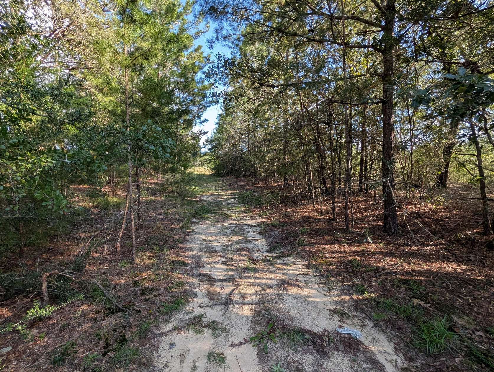 1.26 Acres of Residential Land for Sale in DeFuniak Springs, Florida