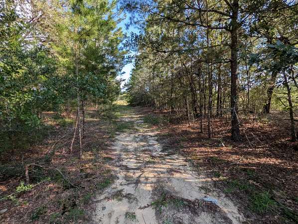 1.26 Acres of Residential Land for Sale in DeFuniak Springs, Florida