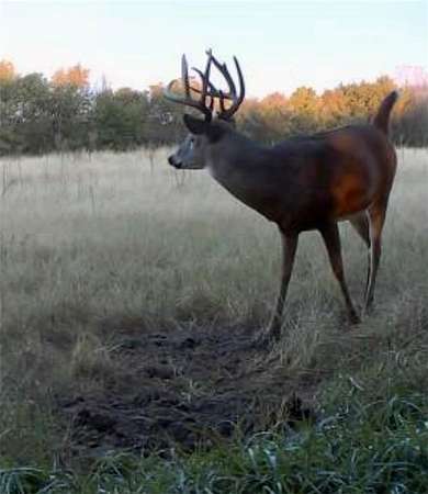 56.8 Acres of Land for Sale in McLouth, Kansas