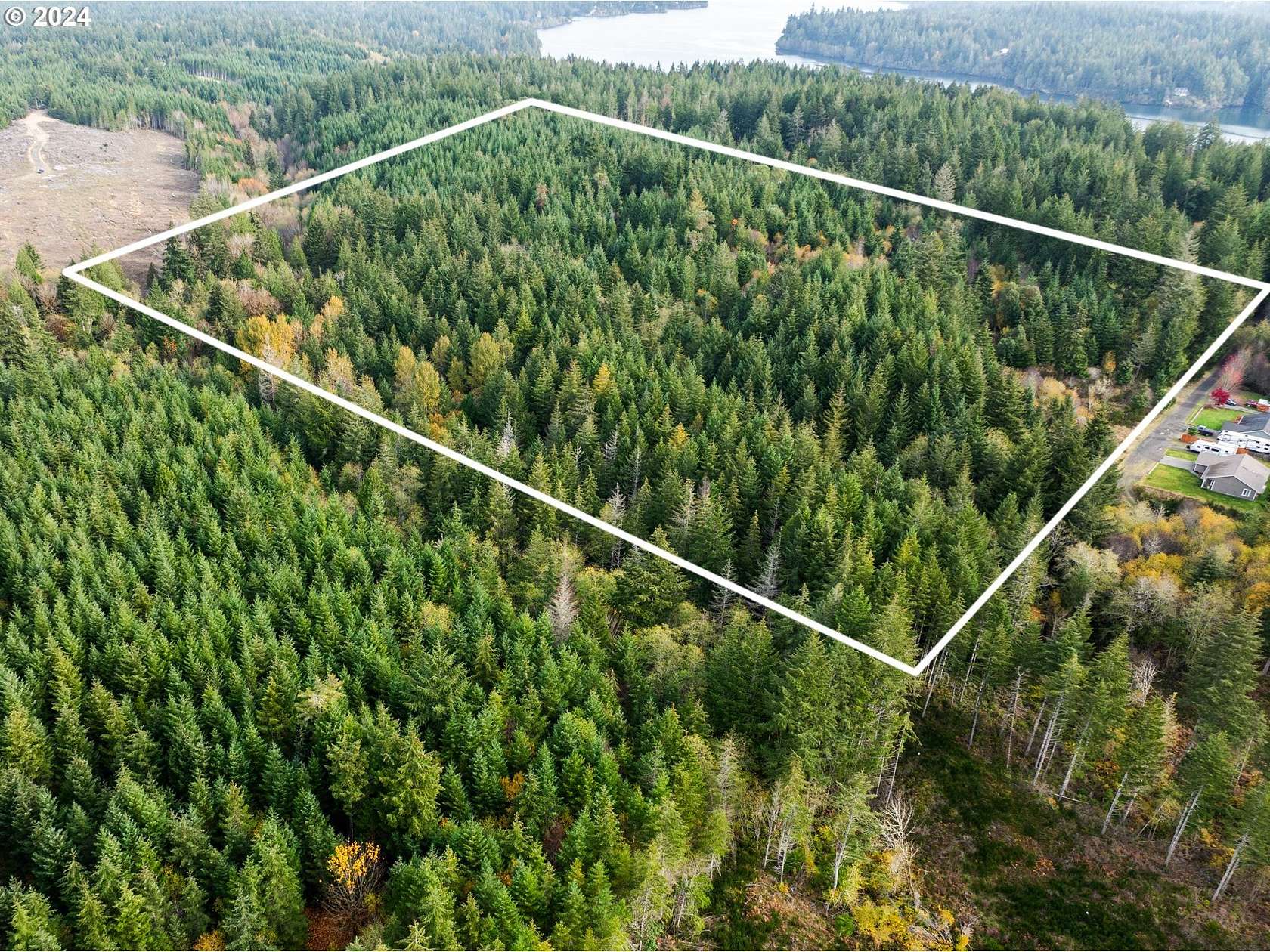 40 Acres of Land for Sale in Shelton, Washington