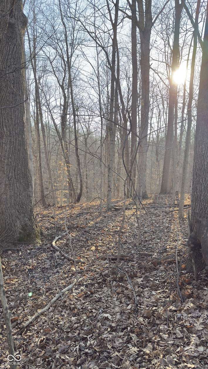19.5 Acres of Land for Sale in Reelsville, Indiana