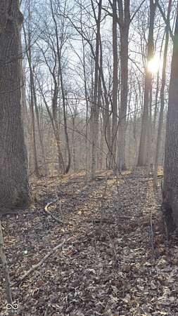 19.5 Acres of Land for Sale in Reelsville, Indiana