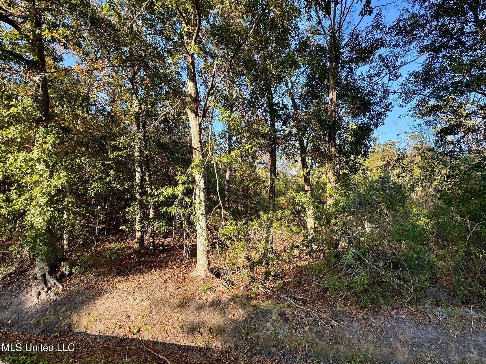 0.4 Acres of Residential Land for Sale in Bay St. Louis, Mississippi