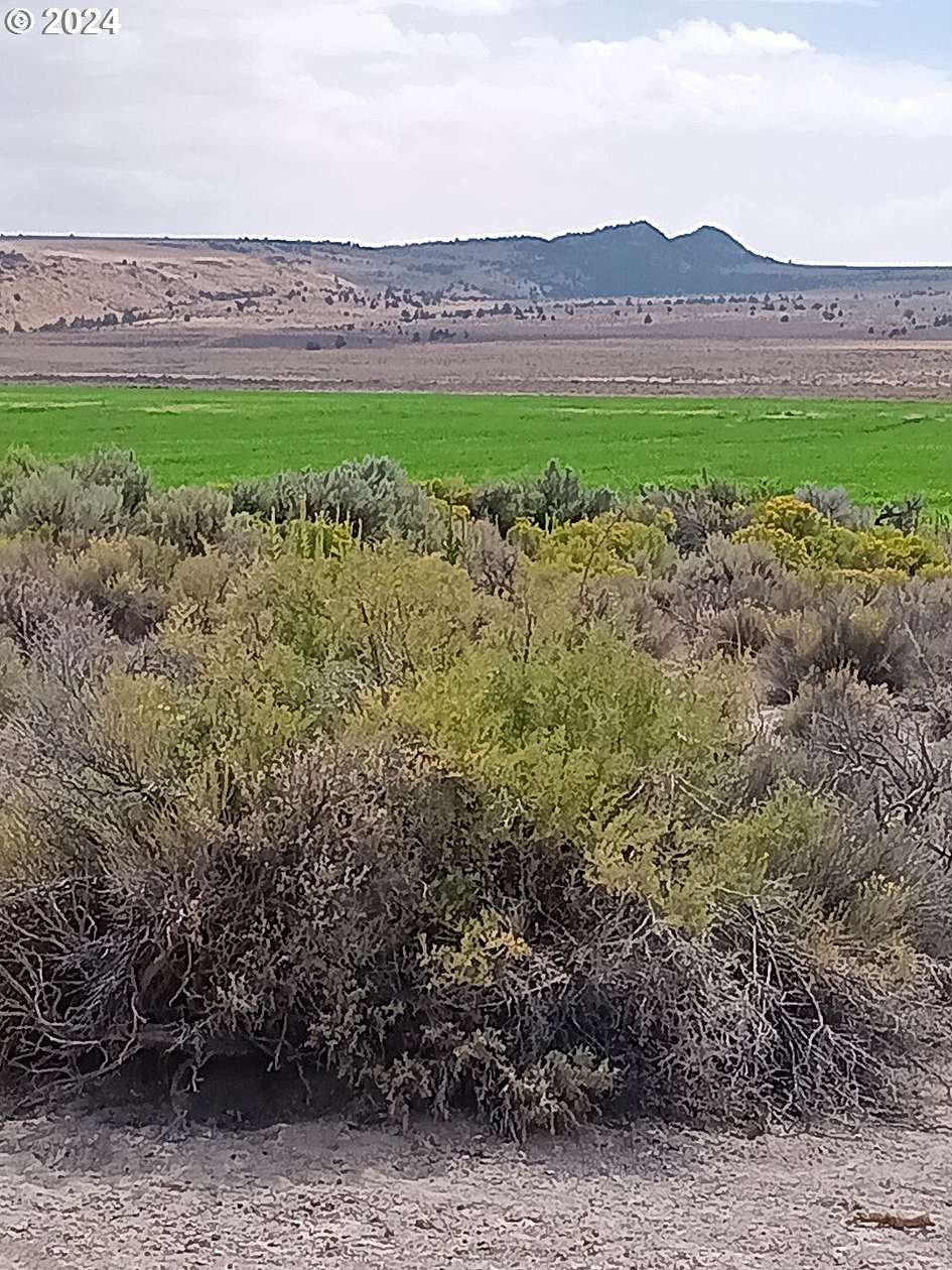 40 Acres of Land for Sale in Christmas Valley, Oregon