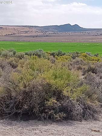 40 Acres of Land for Sale in Christmas Valley, Oregon
