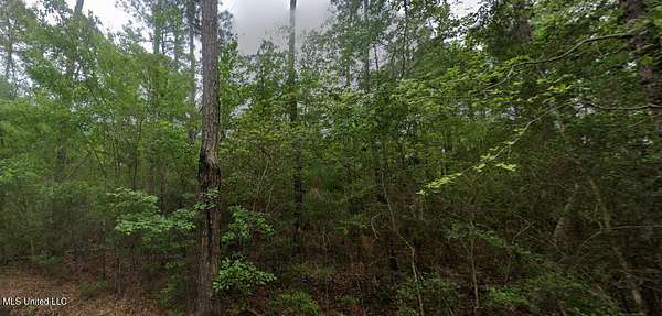 0.23 Acres of Residential Land for Sale in Bay St. Louis, Mississippi