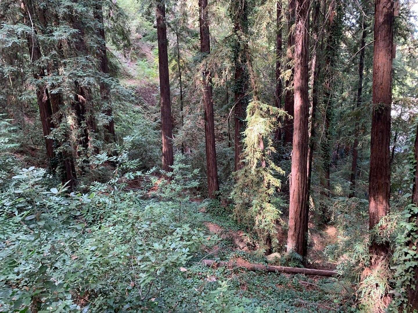 0.05 Acres of Land for Sale in Los Gatos, California