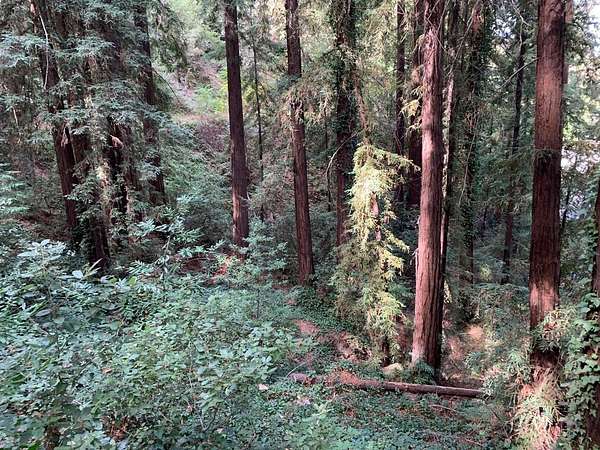 0.05 Acres of Land for Sale in Los Gatos, California