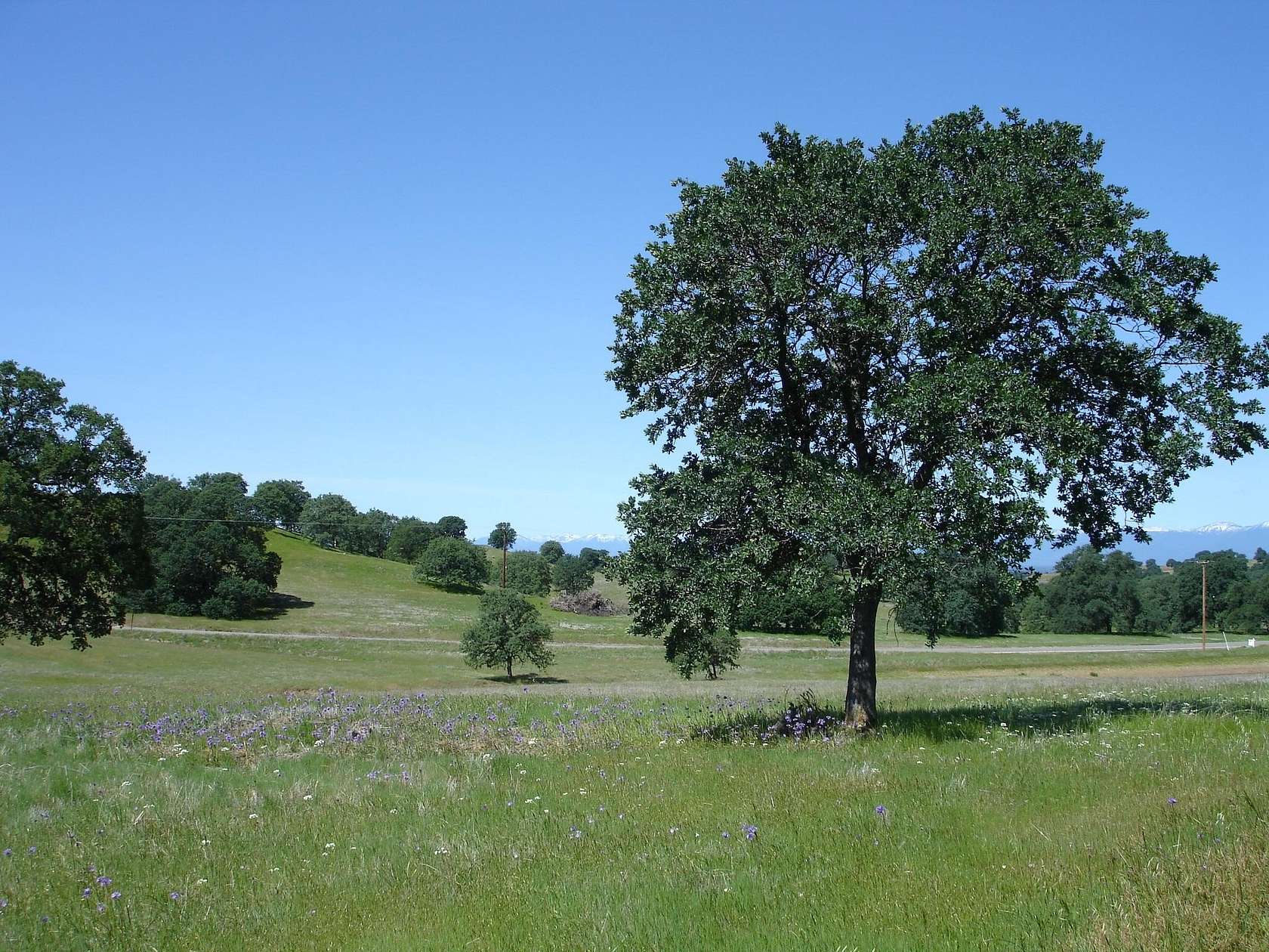 13.3 Acres of Land for Sale in Cottonwood, California