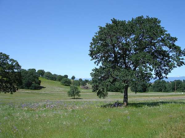 13.3 Acres of Land for Sale in Cottonwood, California