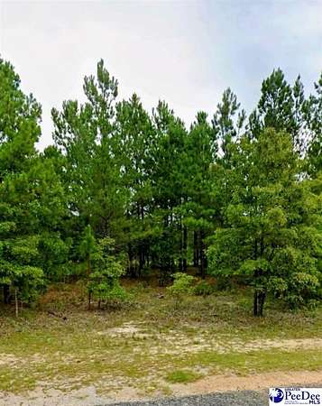 2.88 Acres of Residential Land for Sale in Hartsville, South Carolina