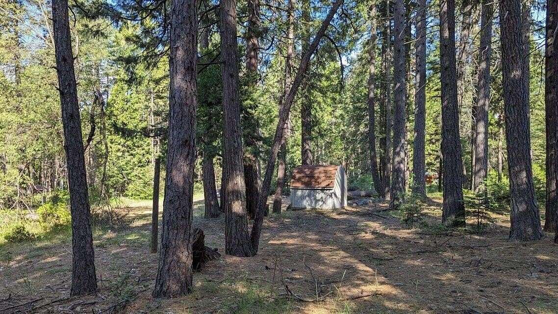 1.15 Acres of Residential Land for Sale in Shingletown, California