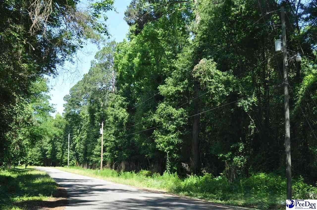 1.52 Acres of Residential Land for Sale in Clio, South Carolina