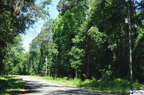 1.4 Acres of Residential Land for Sale in Clio, South Carolina