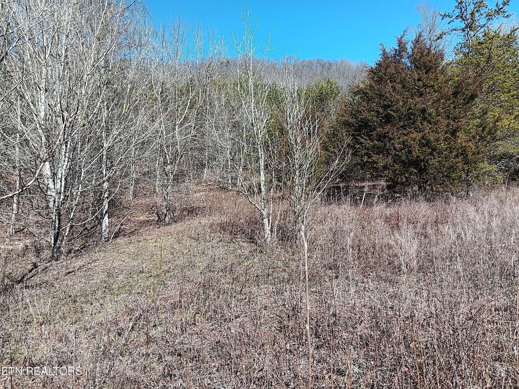 16.7 Acres of Land for Sale in Washburn, Tennessee