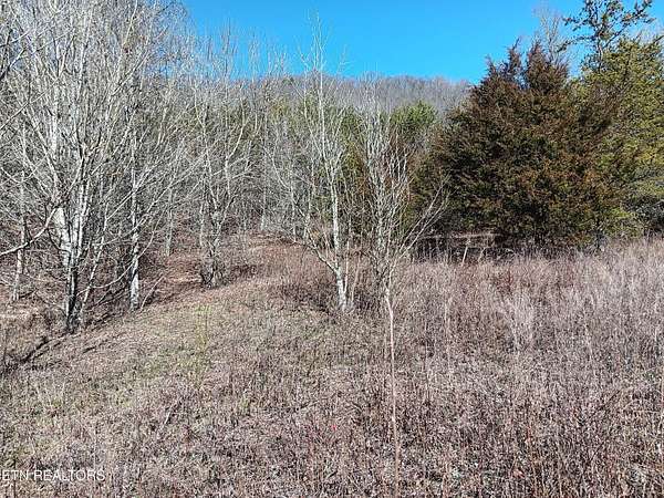 16.7 Acres of Land for Sale in Washburn, Tennessee