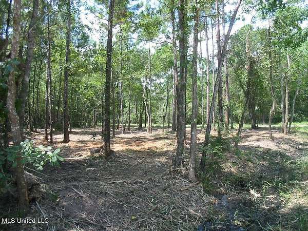0.22 Acres of Residential Land for Sale in Bay St. Louis, Mississippi